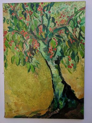 Cerisier 'Belles de mai'